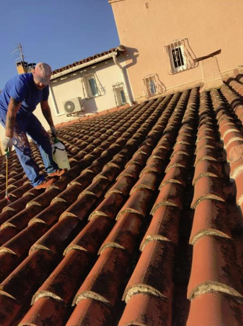 Couvreur dans Cerbère 66290